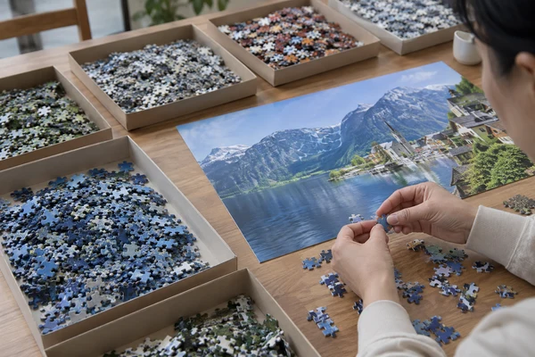 several trays of cardboard puzzle pieces sorted by color beside a panorama