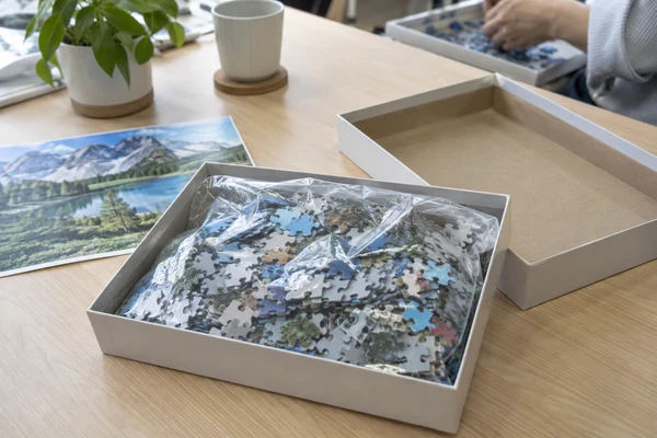 open cardboard puzzle box containing loose pieces in a clear sealed bag