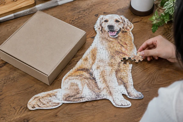 irregular-outline animal silhouette cardboard puzzle beside a fitted plain box